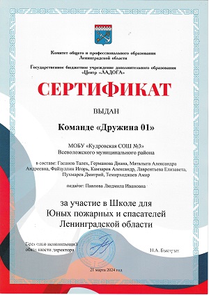 Сертификат Школа для юных пожарных s